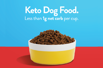 Keto Dog Food: How to Feed Your Dog a Keto Diet