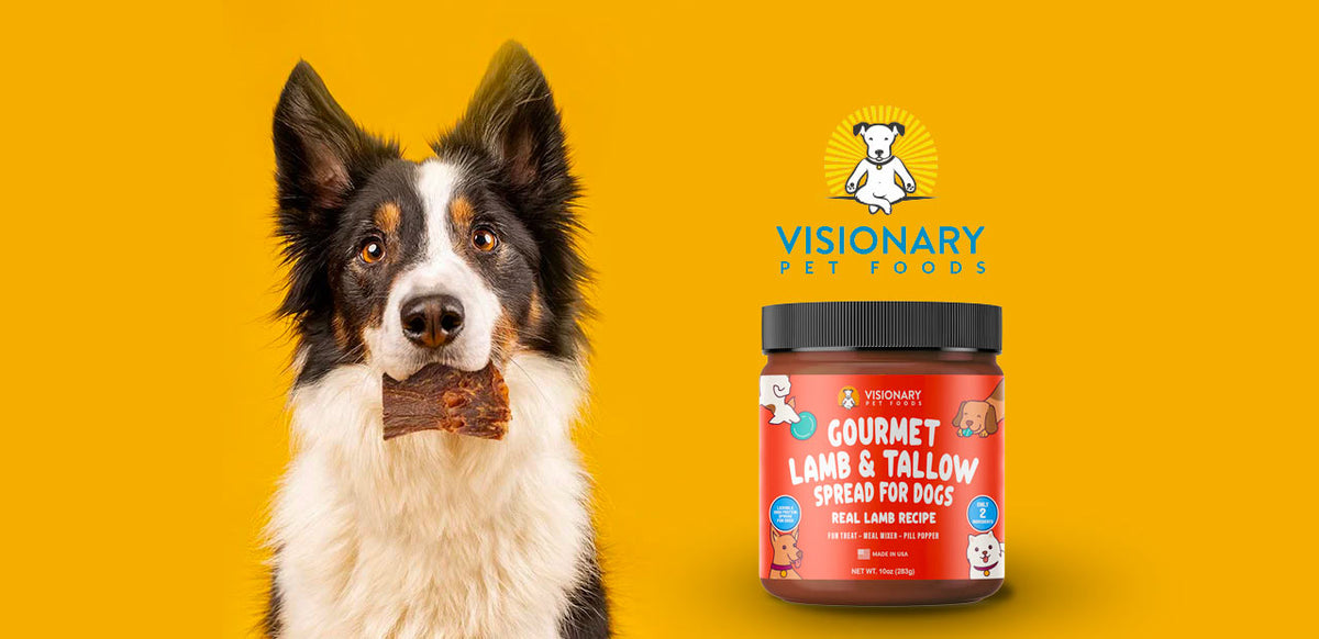 Visionary Pet Foods - Chicken Meat Spread for Dogs | Healthier Choice to Peanut Butter | 10oz Jar