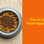 Visionary Pet Foods - Lamb Meat Spread for Dogs | Healthier Choice to Peanut Butter | Easy use as Dog Lick Mat Treat, Chew Toy Filler, Meal Mixer, Pill Pockets - 10 Fl. Oz Jar - Visionary Pet
