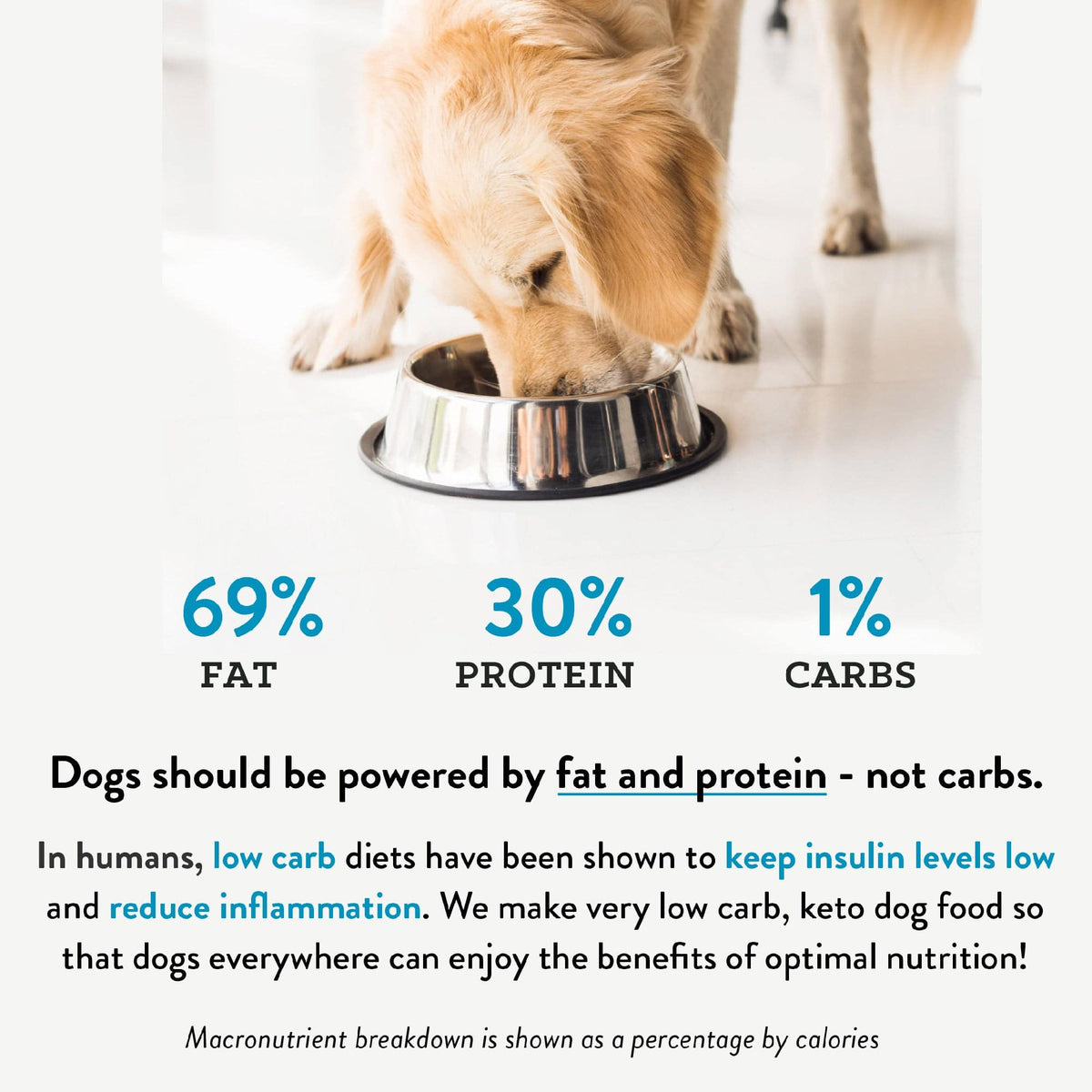 Best protein to fat shop ratio for dog food