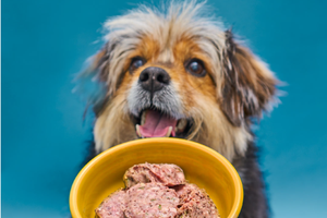 low carb keto dog food