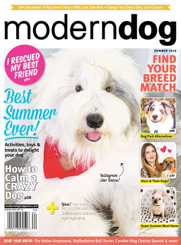 Modern Dog magazine