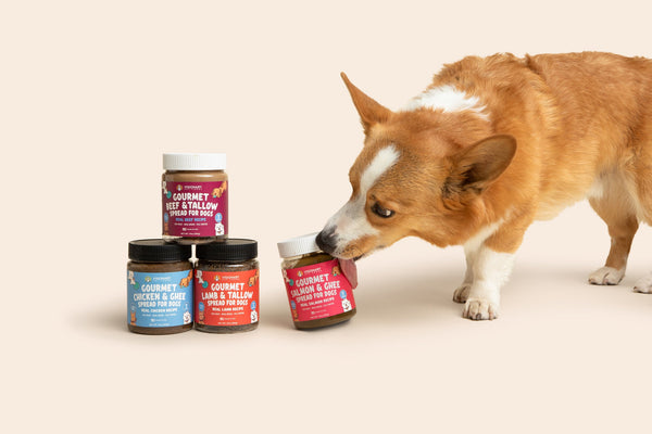 jars of meat spread for dogs