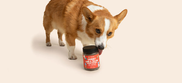 peanut free meat spreads for dogs