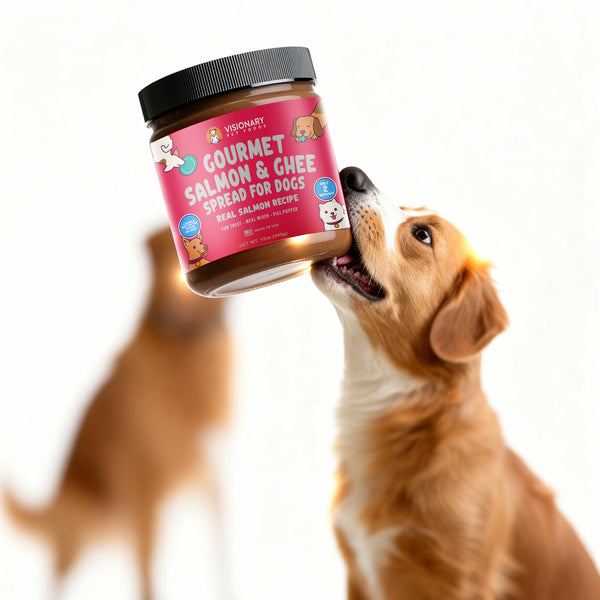 Dog sniffing a jar of gourmet salmon and ghee spread for dogs on a white background