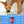 Jar of Beef & Beef Tallow meat spread for dogs with illustrated pet graphics