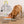 Dog eating from a bowl with a package of freeze-dried medallions on a wooden floor.