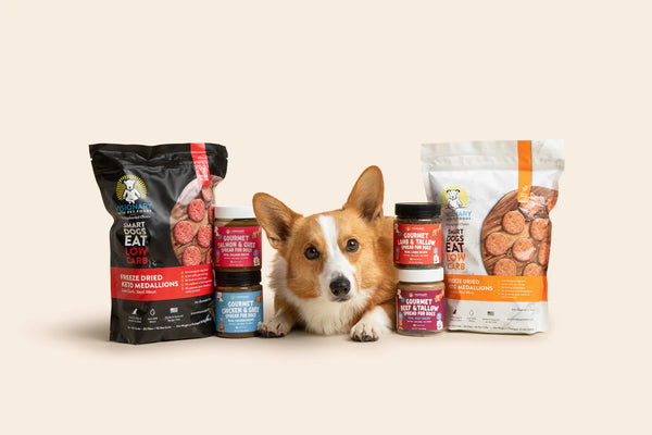 Dog food with lots of protein best sale